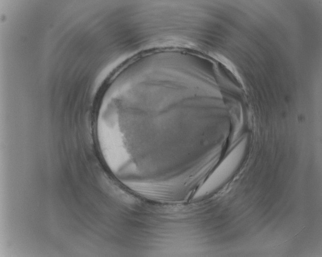 X0000075901120200610151809