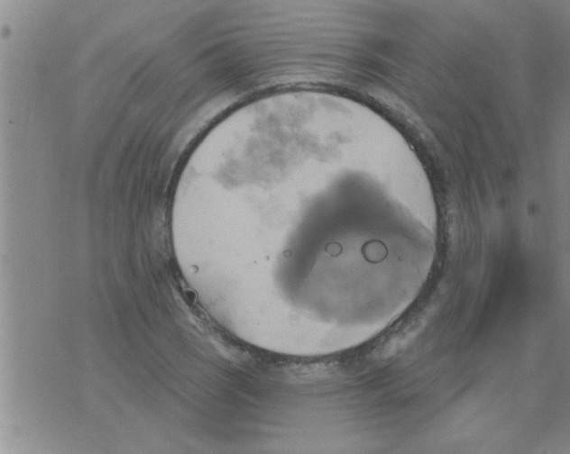 X0000075901121200610151809