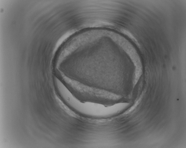 X0000075901122200610151809