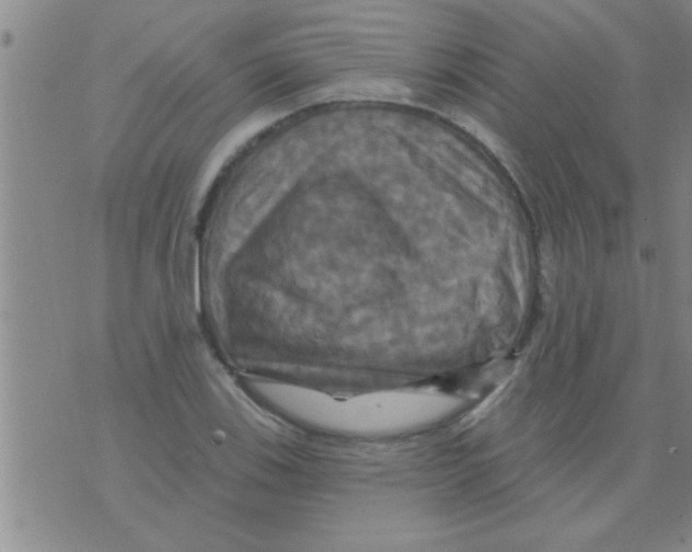 X0000075901123200610151809