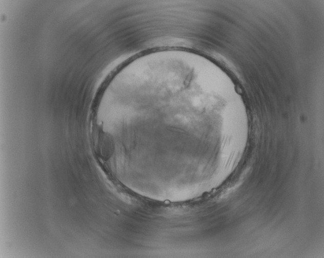 X0000075901125200610151809