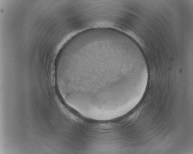 X0000075901126200610151809