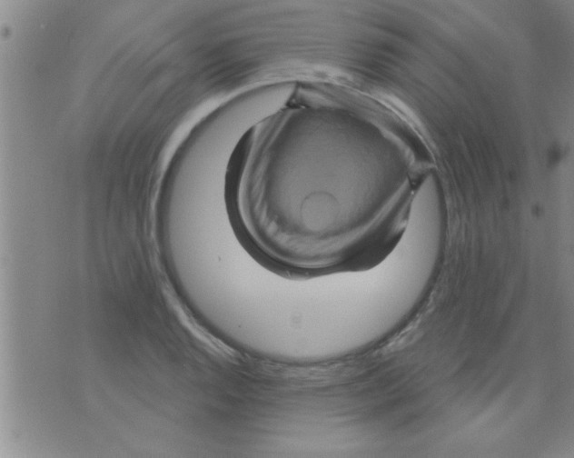 X0000075901128200610151809