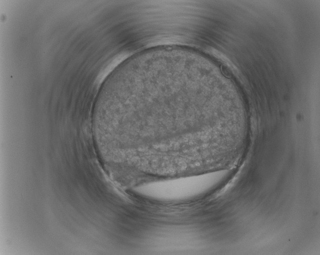 X0000075901129200610151809