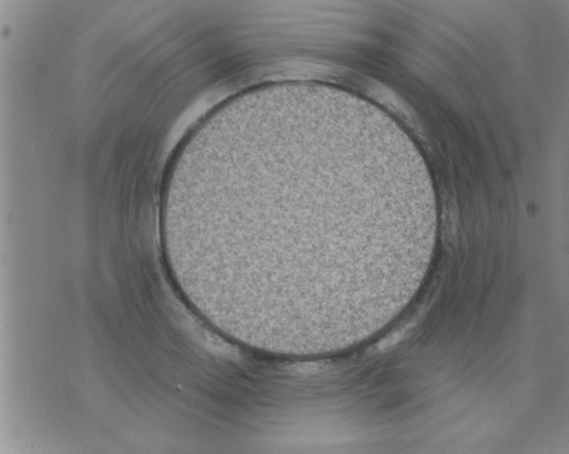 X0000075901130200610151809