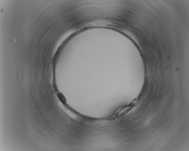 X0000075901131200610151809