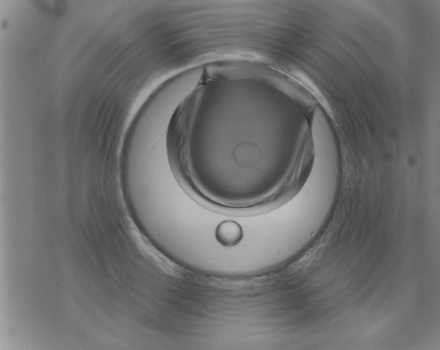 X0000075901132200610151809