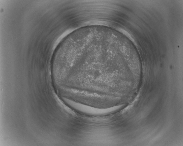 X0000075901133200610151809