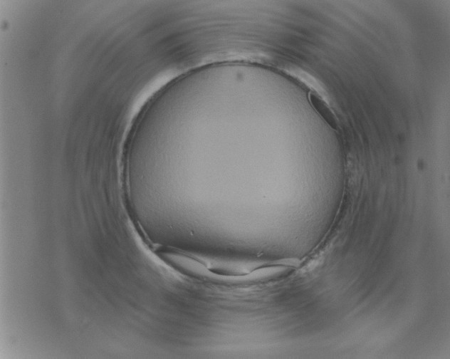 X0000075901135200610151809