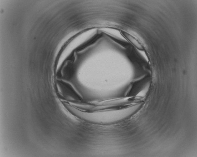 X0000075901136200610151809