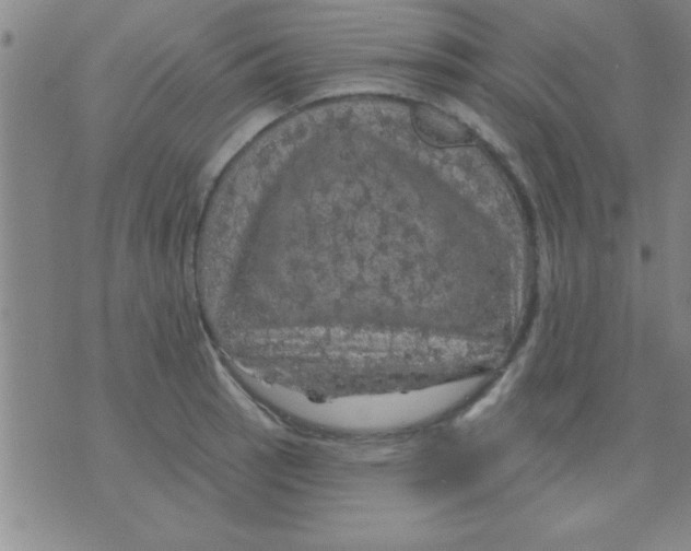 X0000075901137200610151809