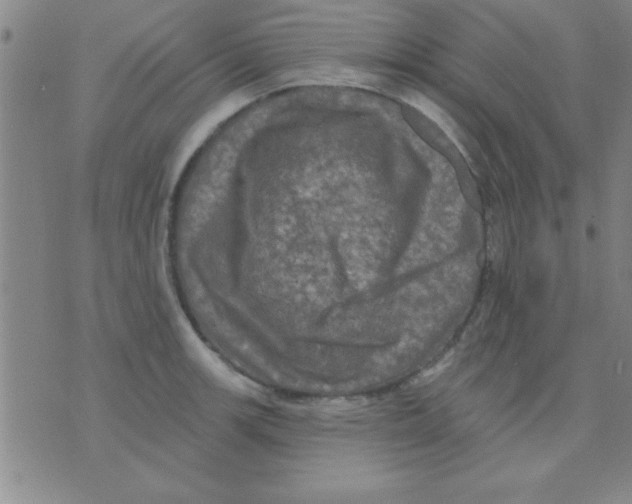 X0000075901139200610151809