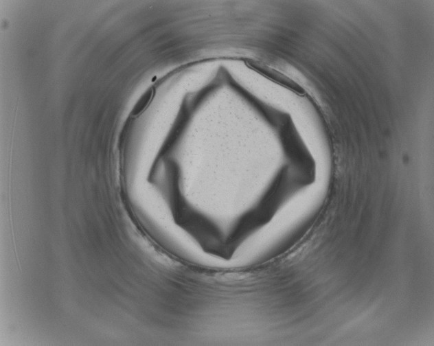 X0000075901140200610151810