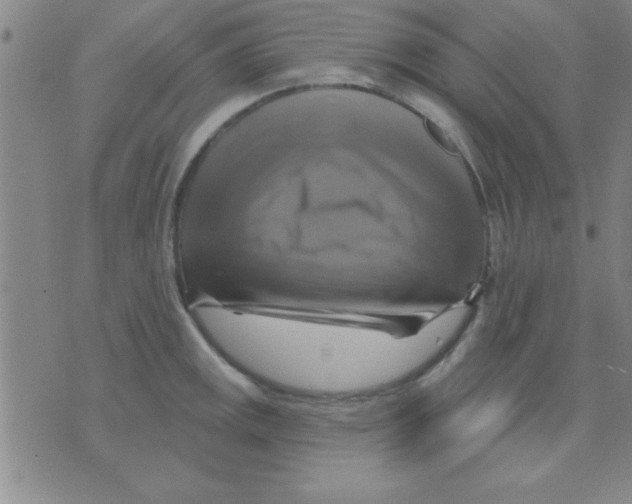 X0000075901141200610151810