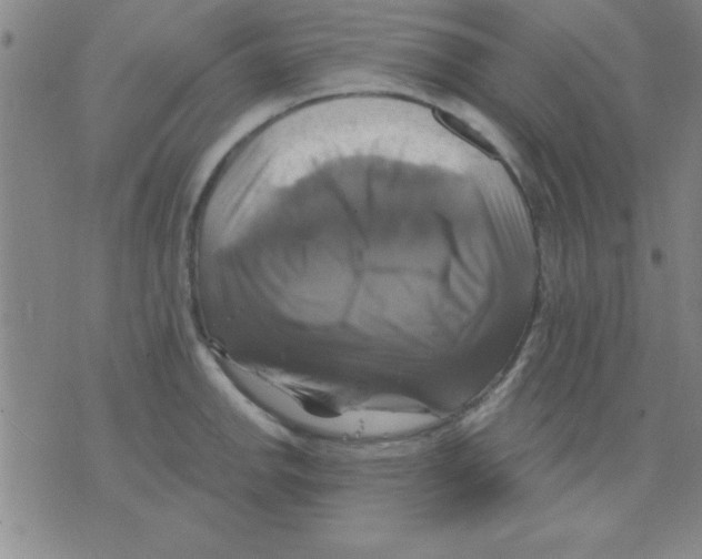 X0000075901142200610151810