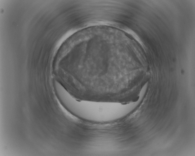 X0000075901143200610151810