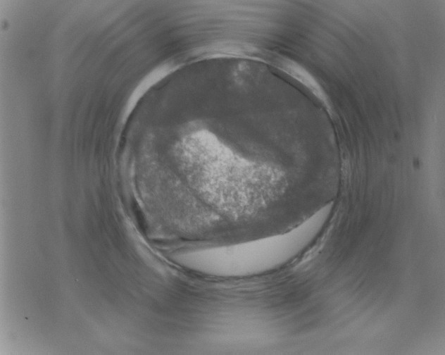 X0000075901146200610151810