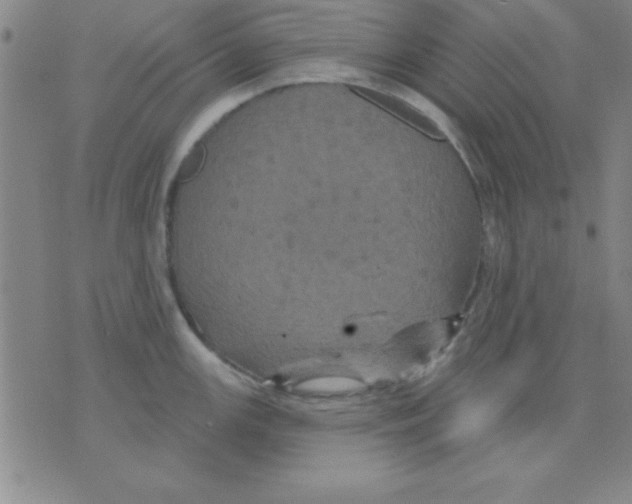 X0000075901147200610151810