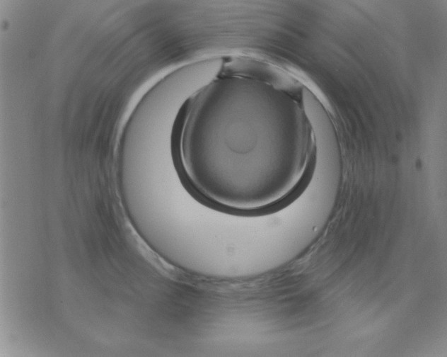 X0000075901148200610151810