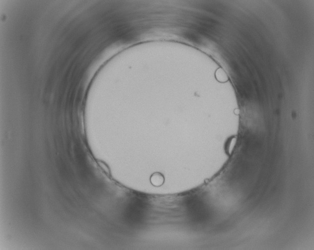 X0000075901150200610151810