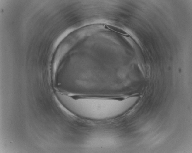 X0000075901151200610151810