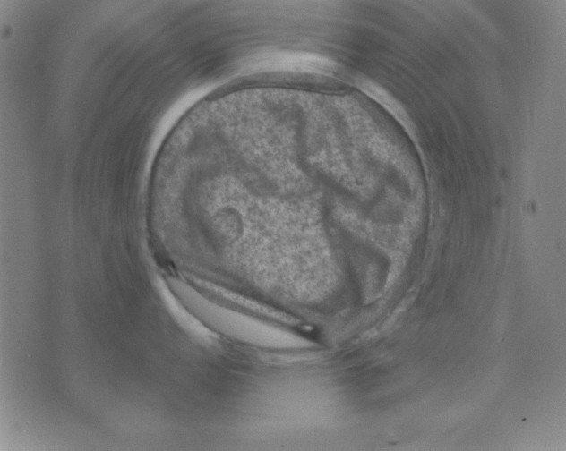 X0000075901152200610151810