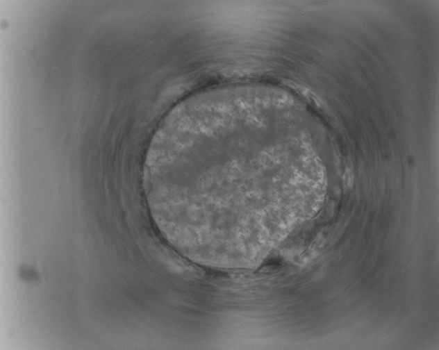 X0000075901153200610151809