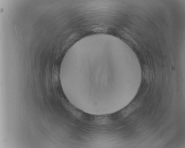 X0000075901154200610151809