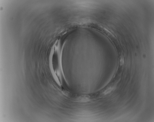 X0000075901156200610151809