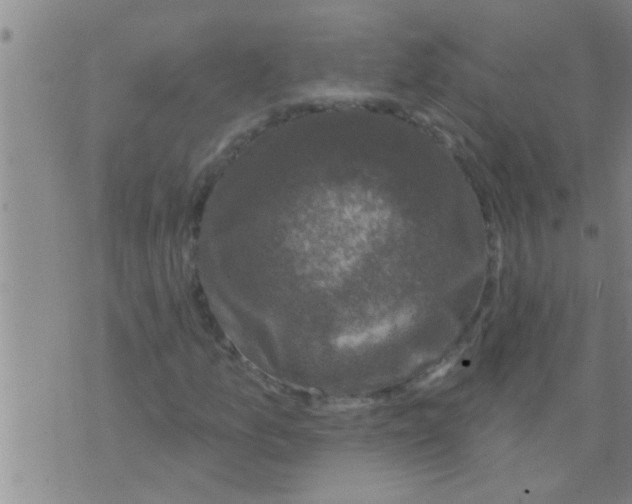 X0000075901157200610151809