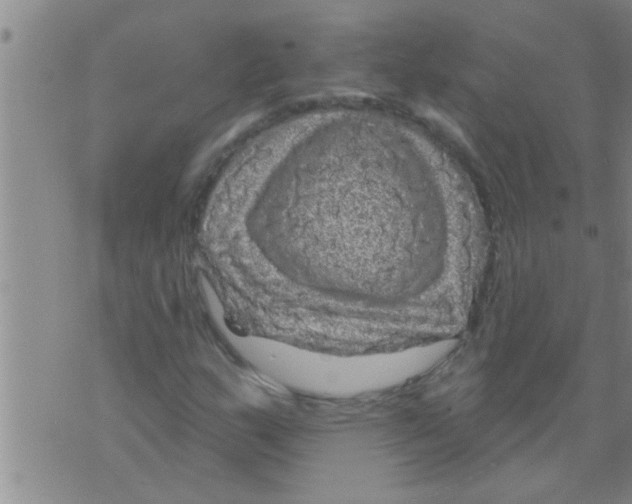 X0000075901159200610151809