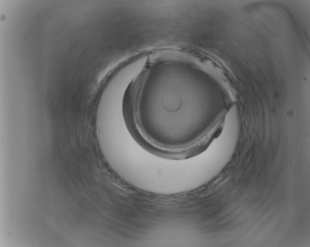 X0000075901160200610151809