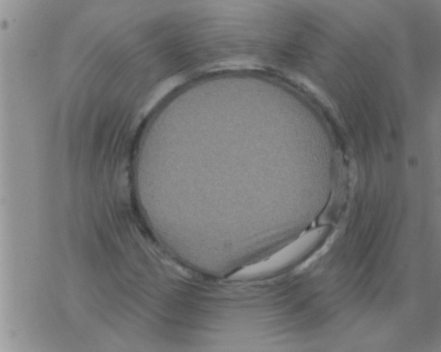 X0000075901162200610151809