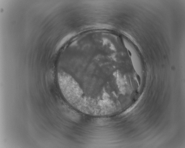 X0000075901163200610151809