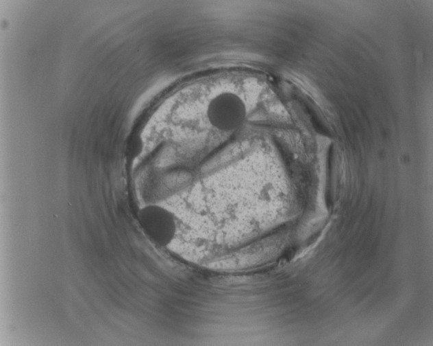 X0000075901164200610151809