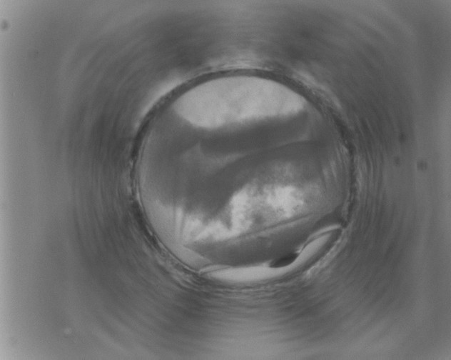 X0000075901166200610151809