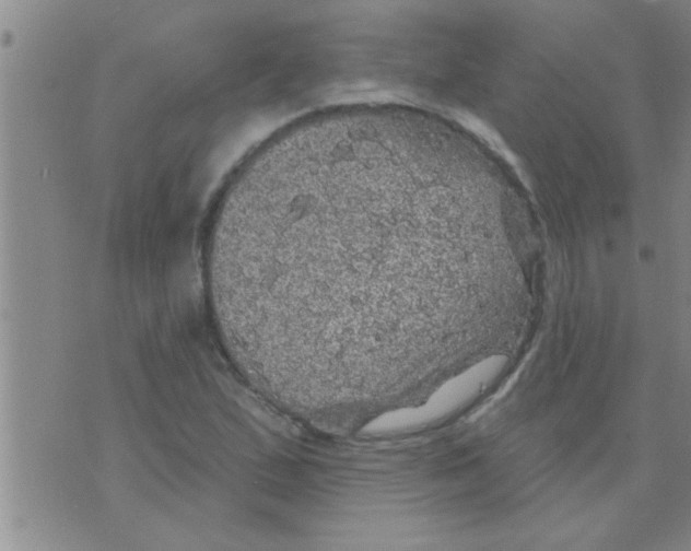 X0000075901167200610151809