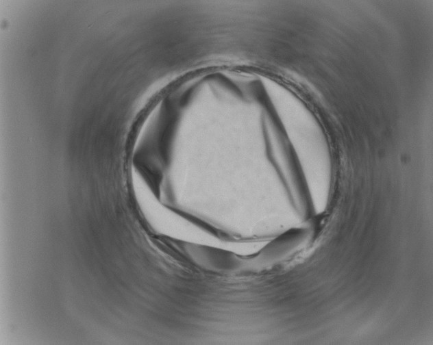 X0000075901168200610151809