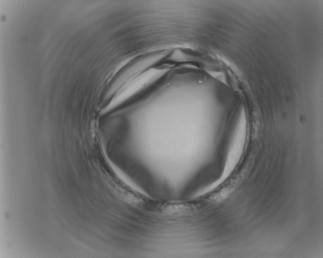 X0000075901169200610151809