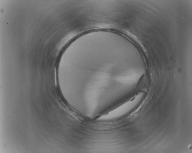 X0000075901171200610151809