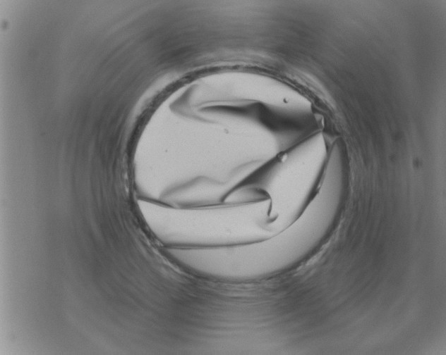 X0000075901172200610151809