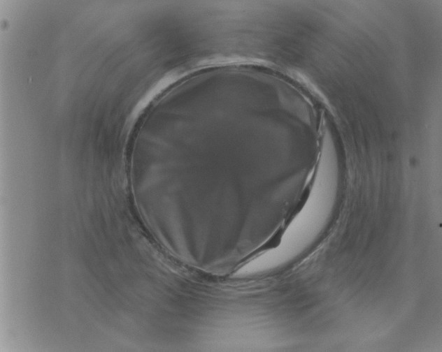 X0000075901173200610151809