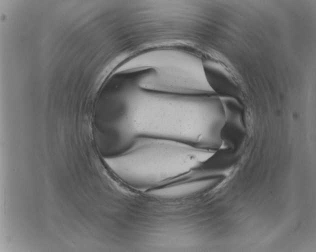 X0000075901177200610151809