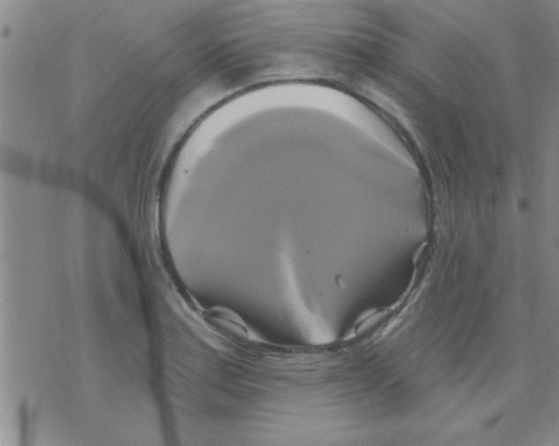 X0000075901179200610151809