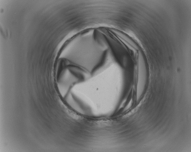 X0000075901181200610151808