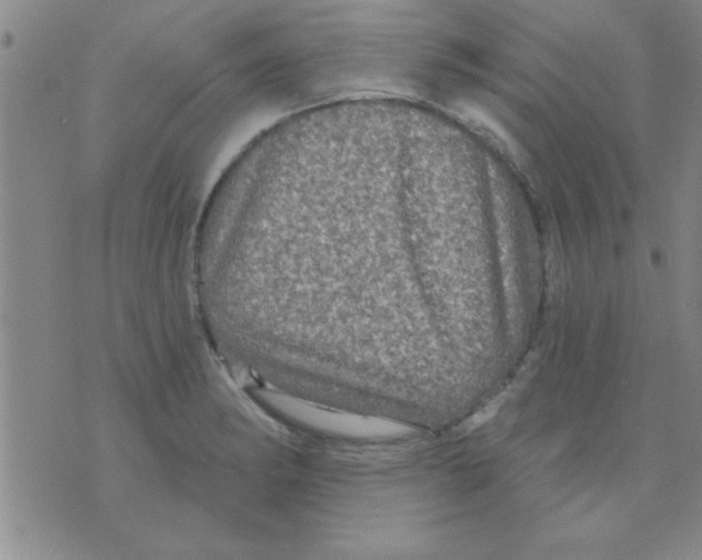 X0000075901182200610151808