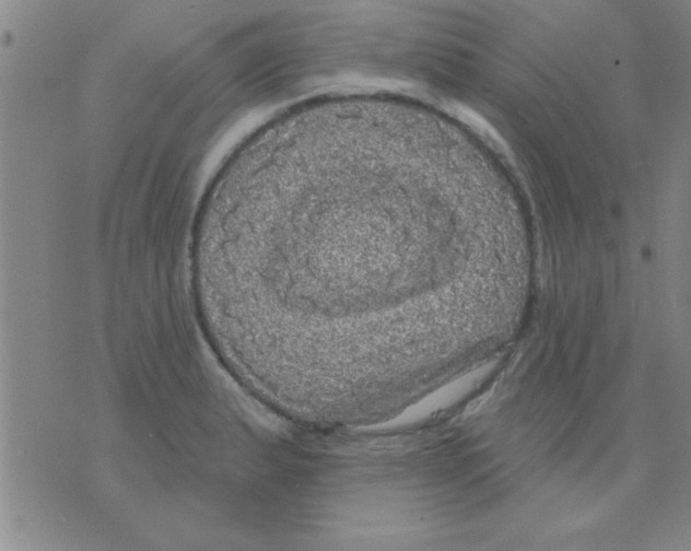 X0000075901183200610151808