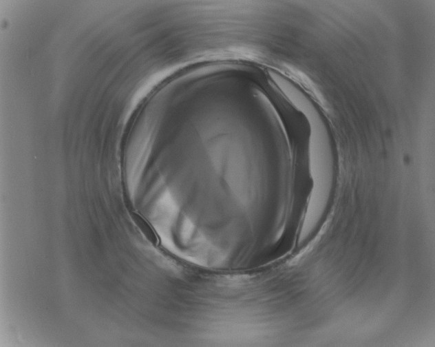 X0000075901184200610151808