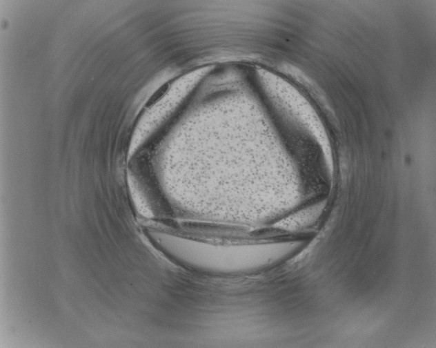 X0000075901185200610151808