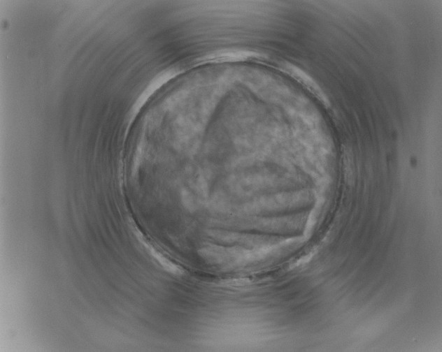 X0000075901186200610151808